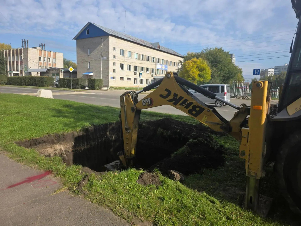 kollektor.jpg